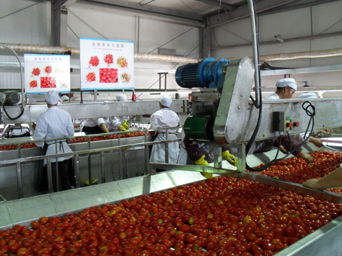 蔬果皮帶流水線進(jìn)出料口的設(shè)計(jì)方案