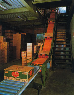 食品滾筒輸送機(jī)尼龍螺桿機(jī)加工的優(yōu)勢(shì)