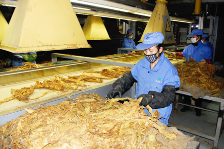 煙草皮帶輸送設(shè)備支架的種類(lèi)