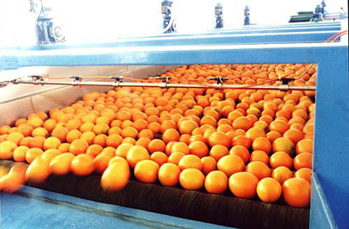 果蔬鏈板輸送機互聯(lián)網市場究竟有多少深度